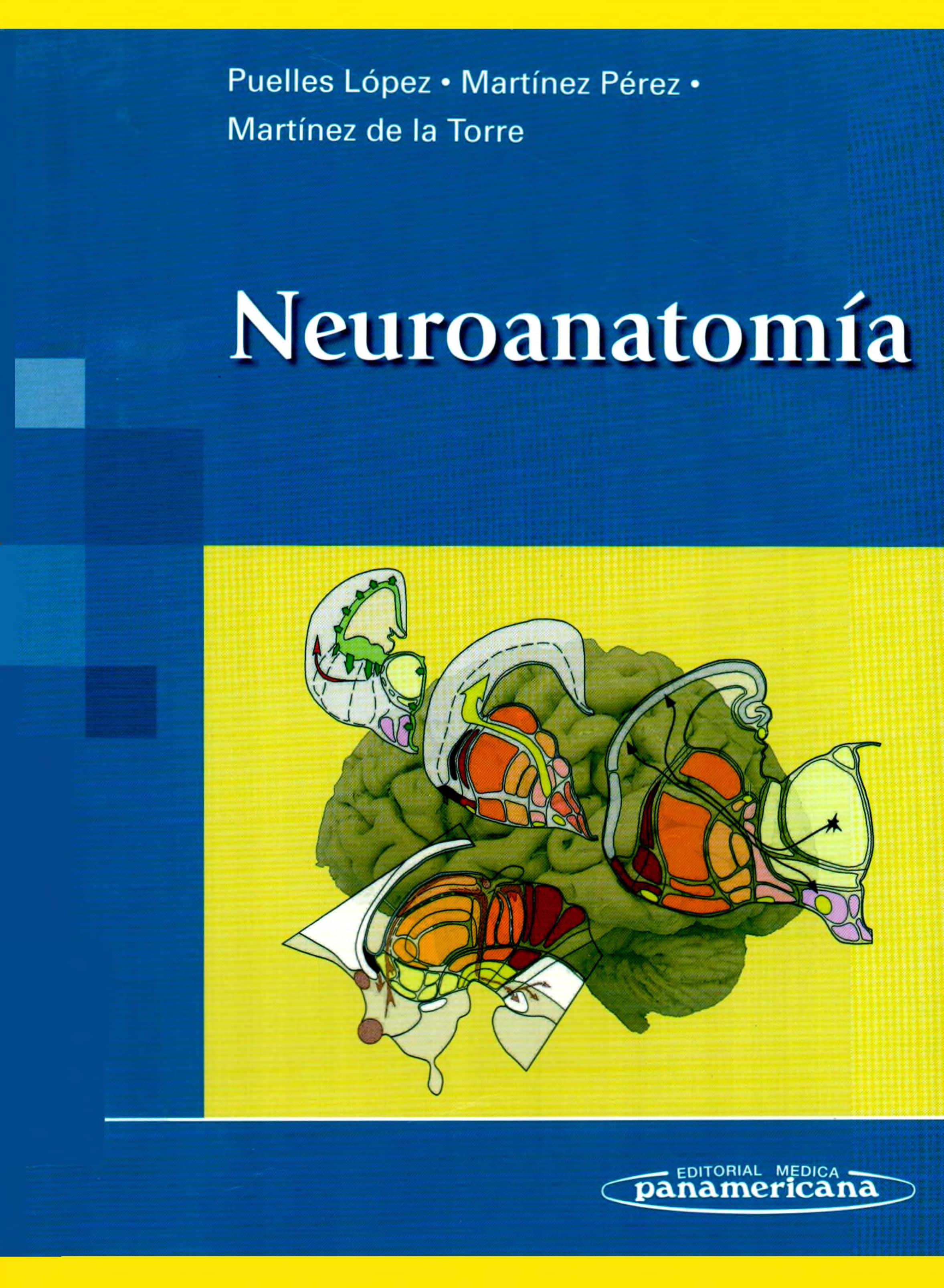 Portada Neuroanatomía