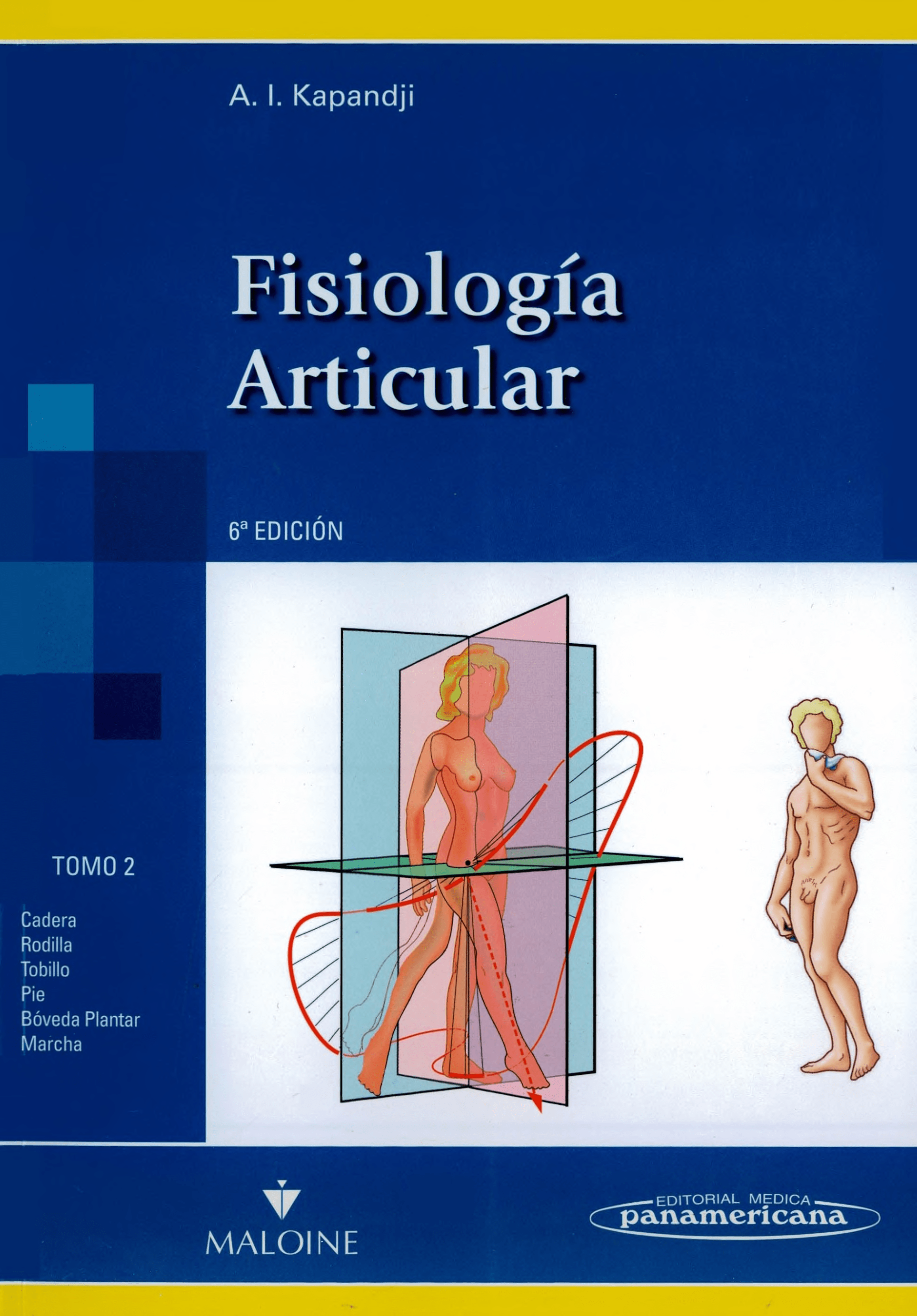 Portada Fisiología articular: Miembro inferior