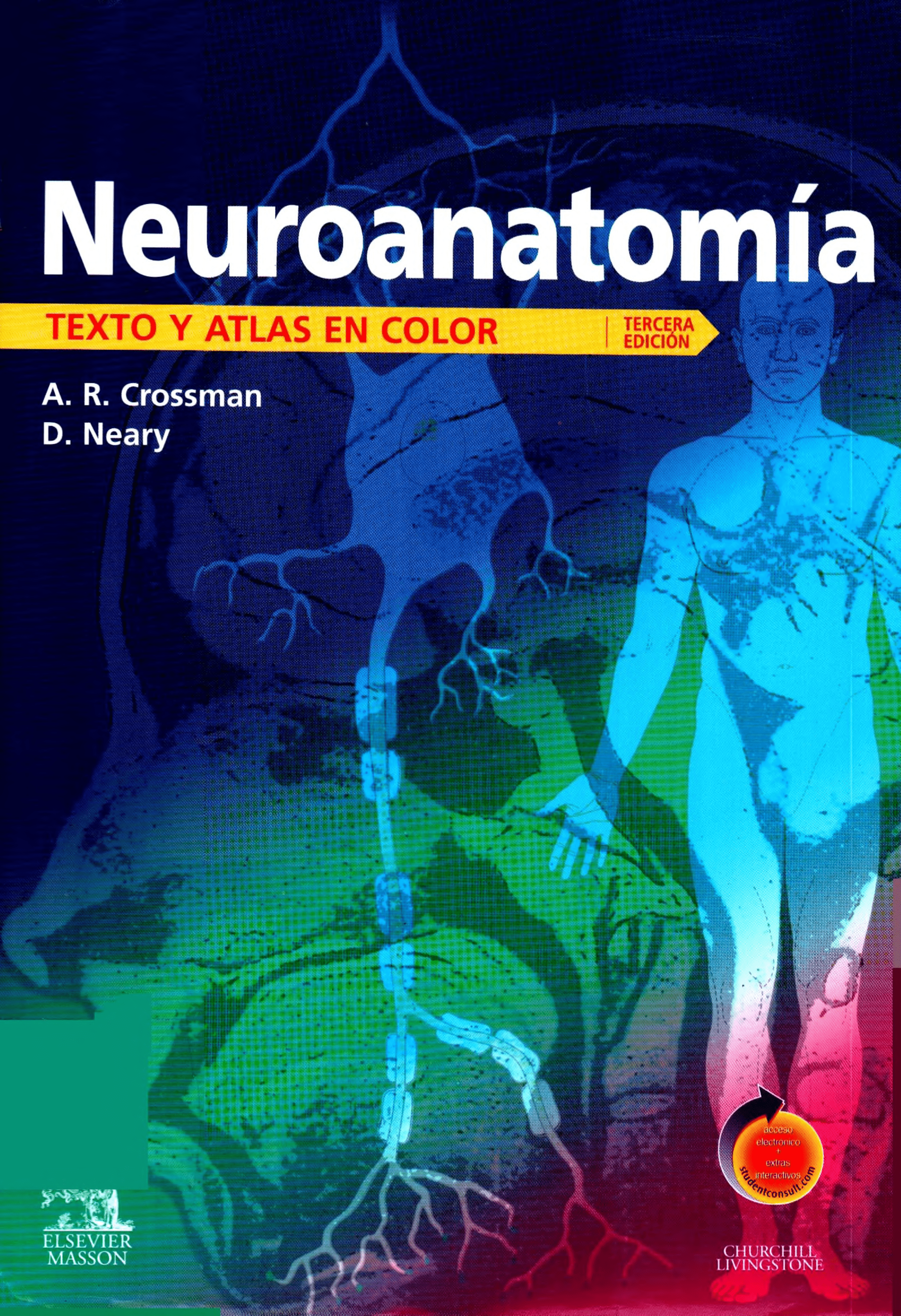 Portada Neuroanatomía : texto y atlas en color 