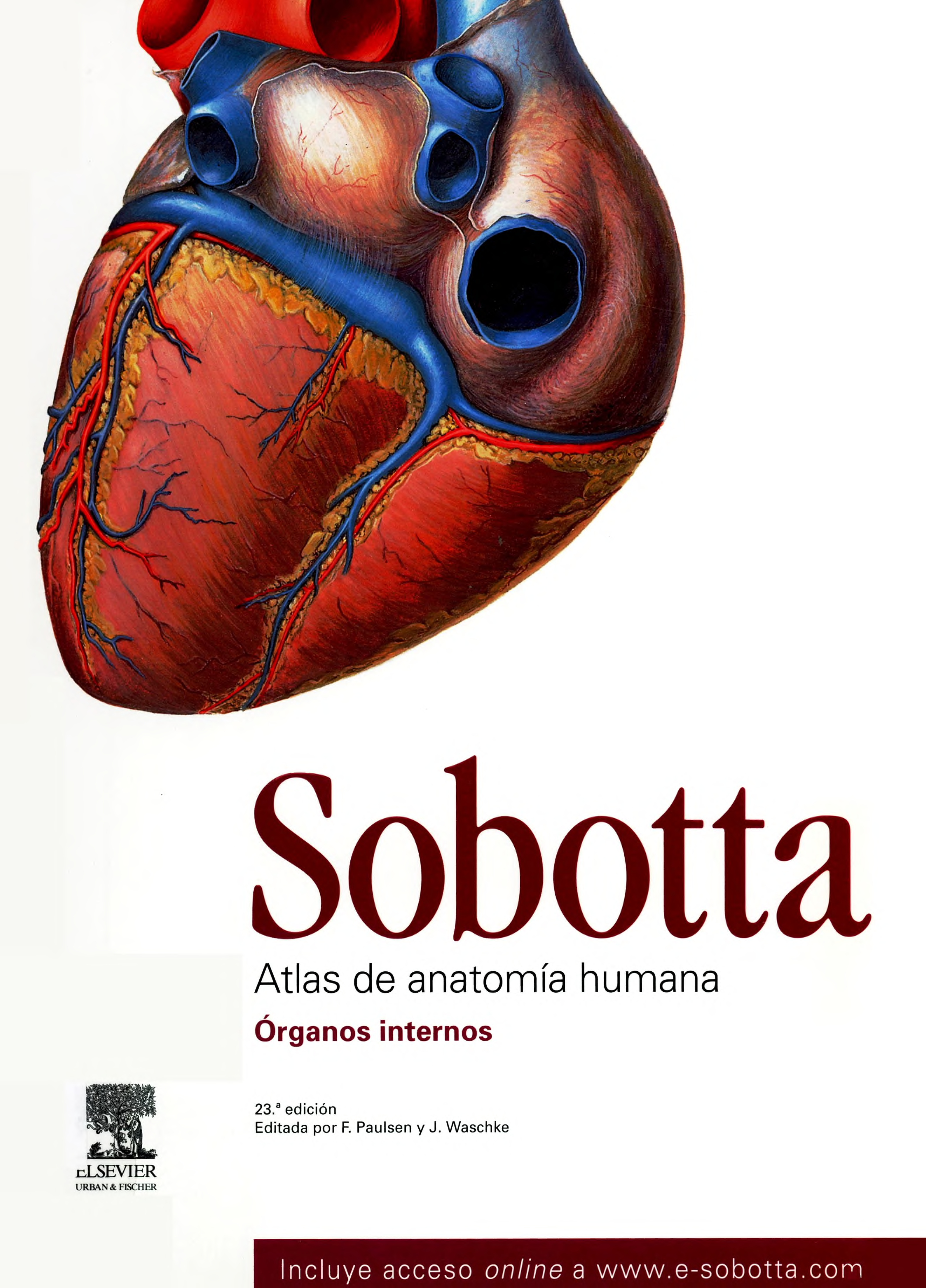 Portada Sobotta : atlas de anatomía humana: órganos internos