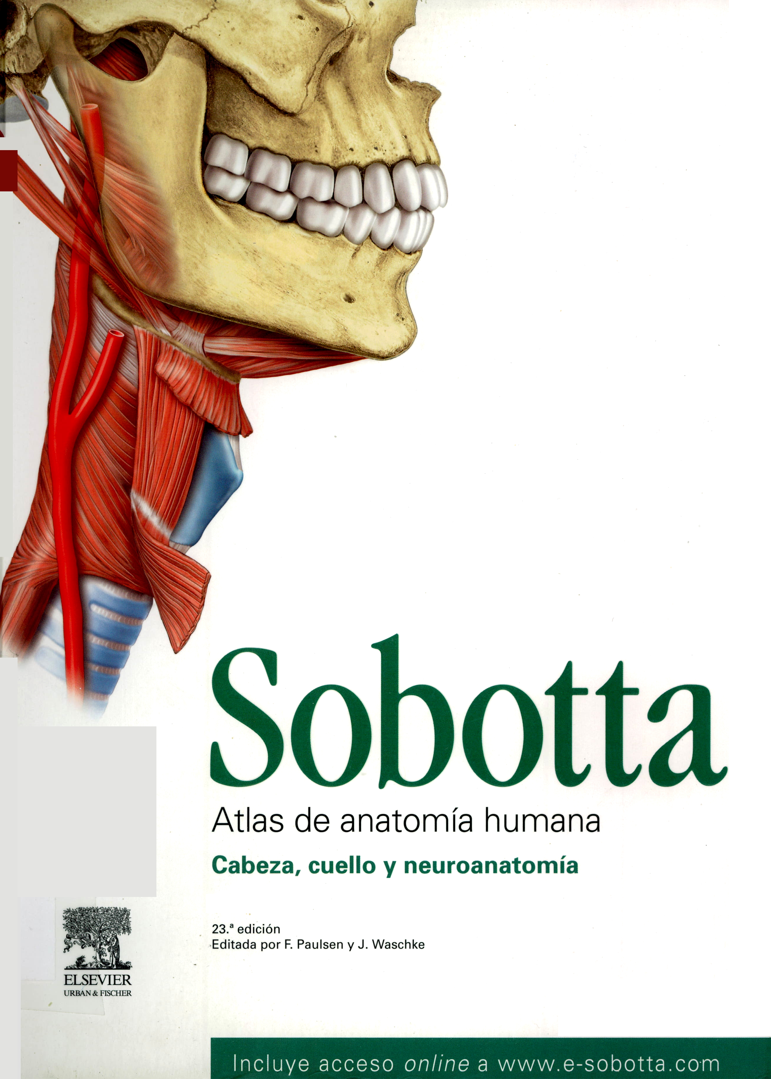 Portada Sobotta : atlas de anatomía humana : cabeza, cuello y neuroanatomía