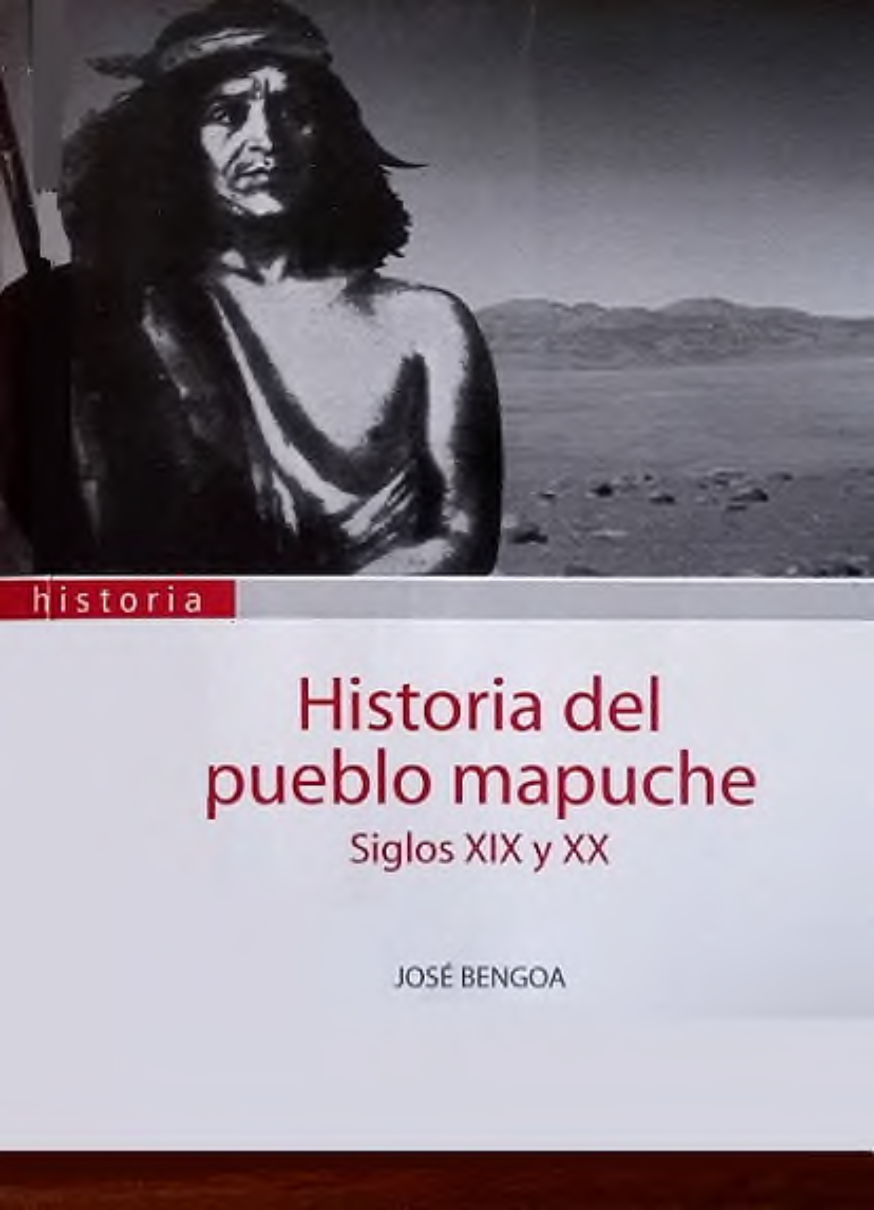 Portada Historia del pueblo mapuche : (siglo XIX y XX)