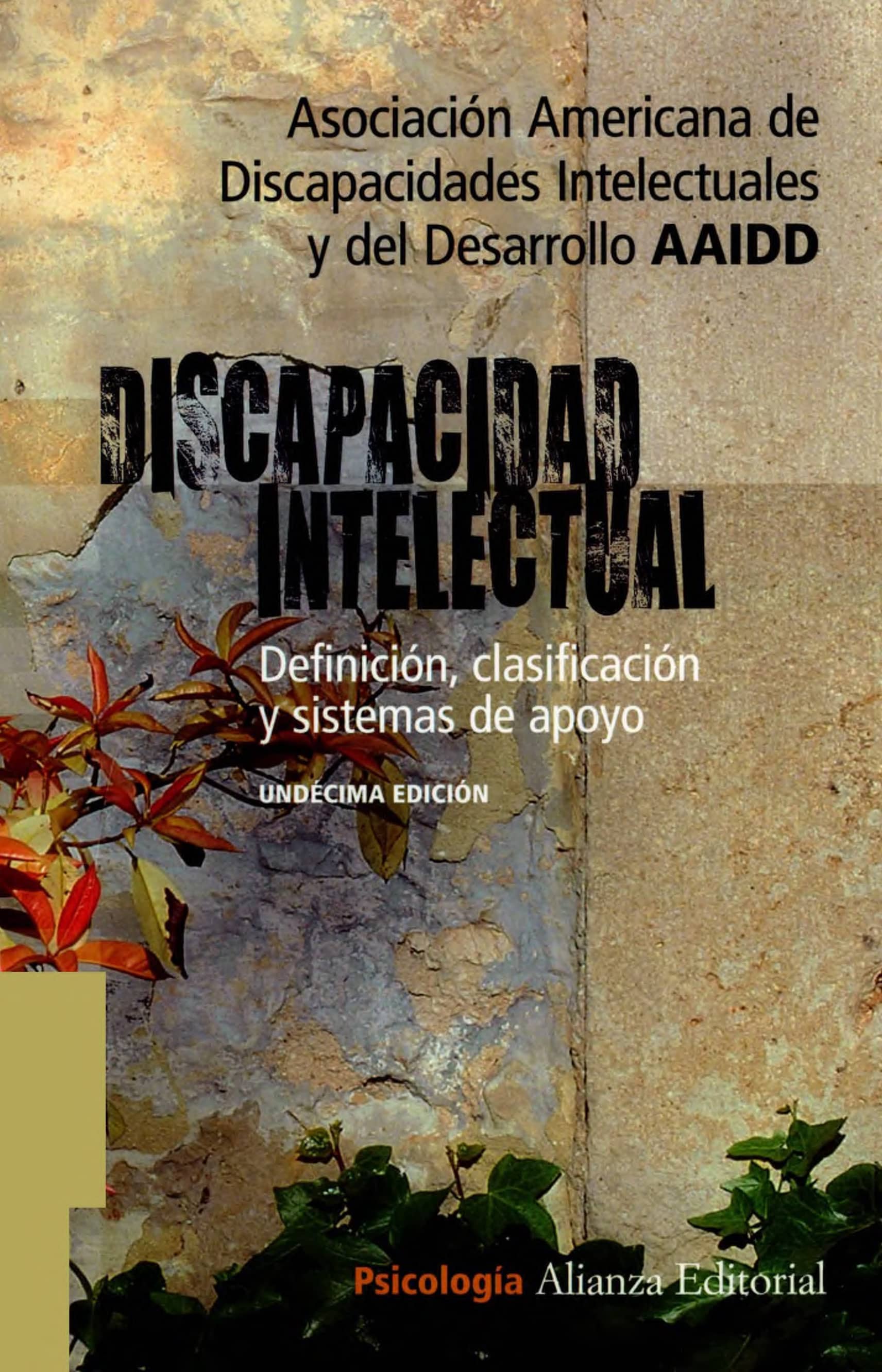 Portada Discapacidad intelectual : definición, clasificación y sistemas de apoyo